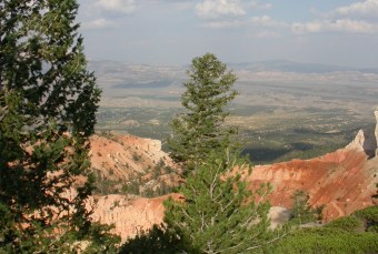 "But as for me, I watch in hope for the Lord, I wait for God my Savior; my God will hear me." - Micah 7:7