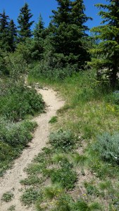 "Godliness with contentment is great gain." - 1 Timothy 6:6